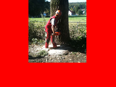 sicherheitsfaellung 1