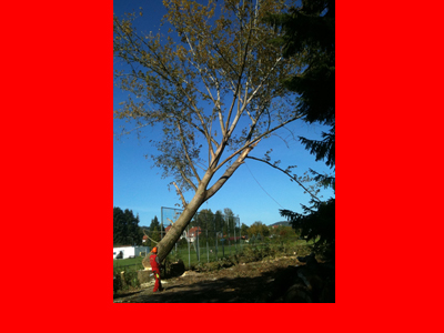 sicherheitsfaellung 2