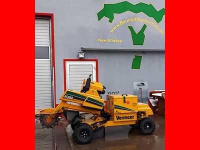 6_stockrosungsarbeiten_vermeer_frease_1